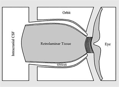 Problems in CSF and Ophthalmic Disease Research